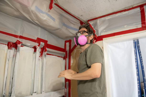 Mold Remediation for Rental Properties in King City, OR