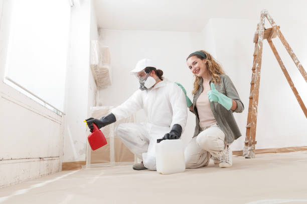 Best Mold Remediation for Rental Properties  in King City, OR